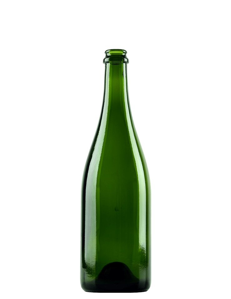 Champagne 25.4 oz liq / 750 ml